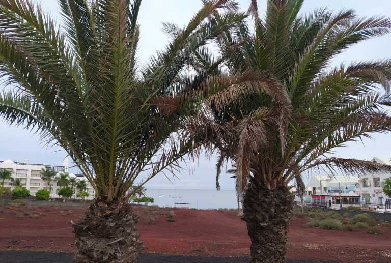 Letizia Galletti - 17