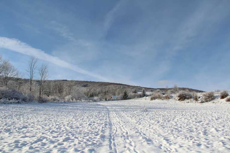 Matej Dorotovic - 15