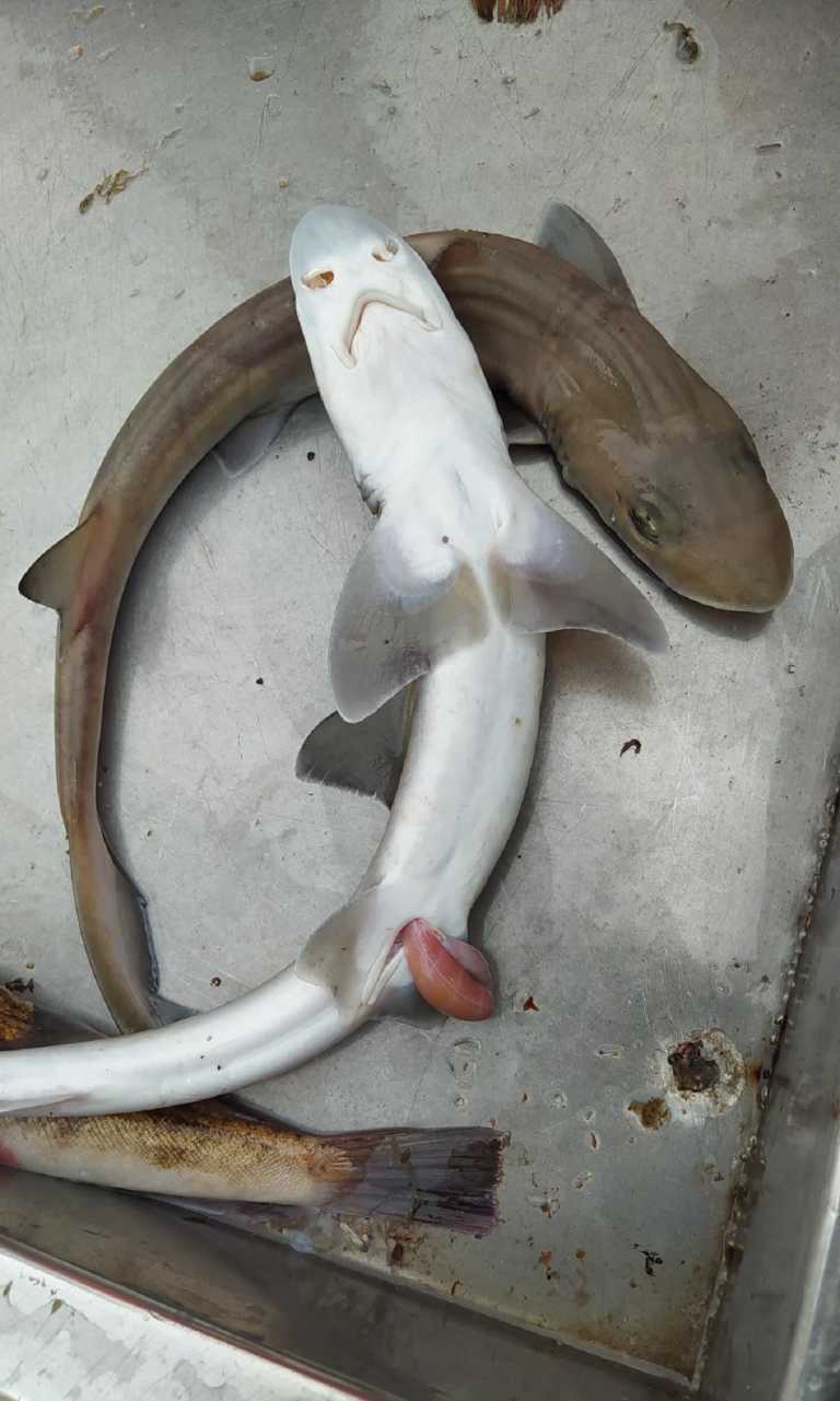 Letizia Galletti - 29