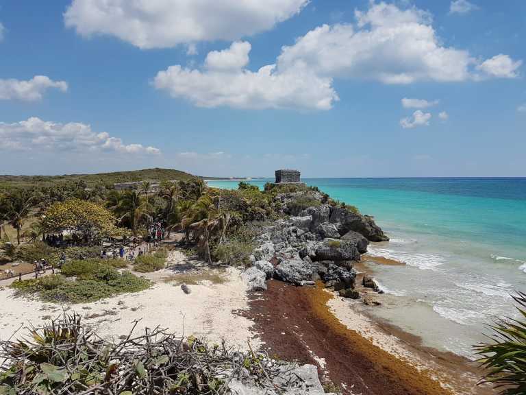 Carlos Rodriguez - 11