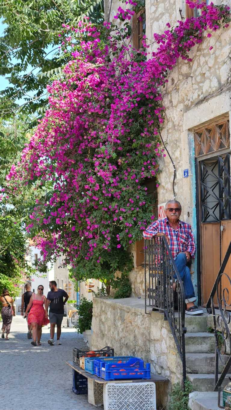 Mujtaba  Shoukath - 4