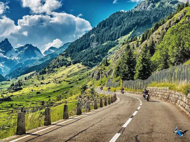 Frank Merklinger - 7