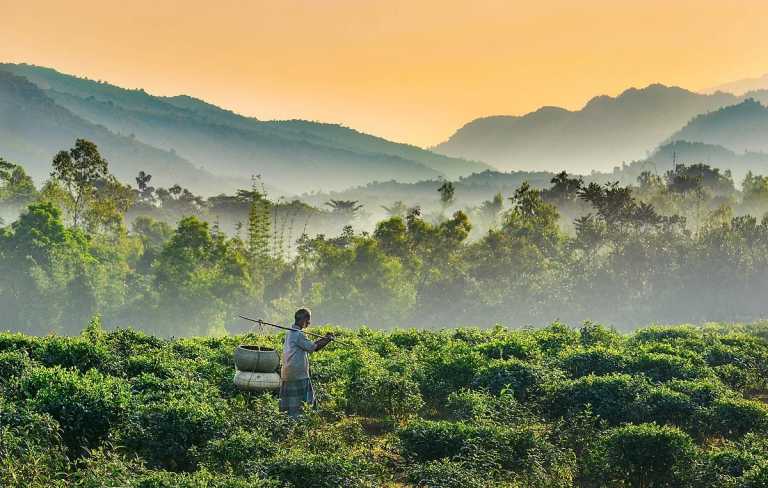 Bangladesch - Discovering BANGLADESH: A Journey Through Culture, Cuisine, and Nature - JoinMyTrip