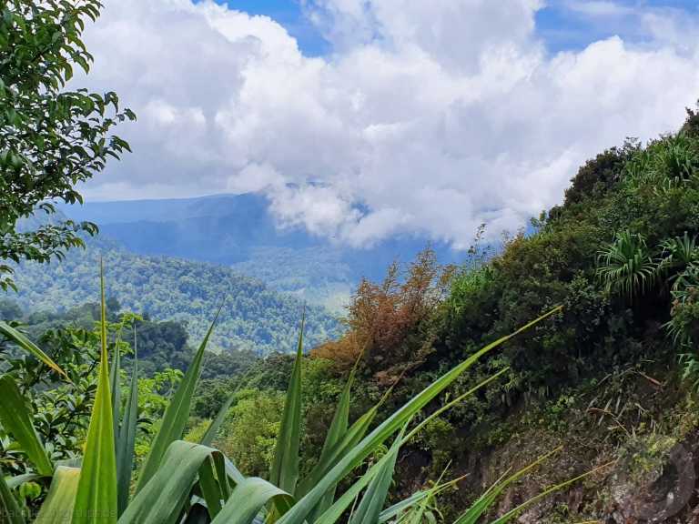 Indonesia - Berastagi - 🇮🇩 Indonesien Wildes Sumatra - 15 Tage einzigartige Orang Utan Abenteuerreise 🏞️🐒🌿🏝️ - 1