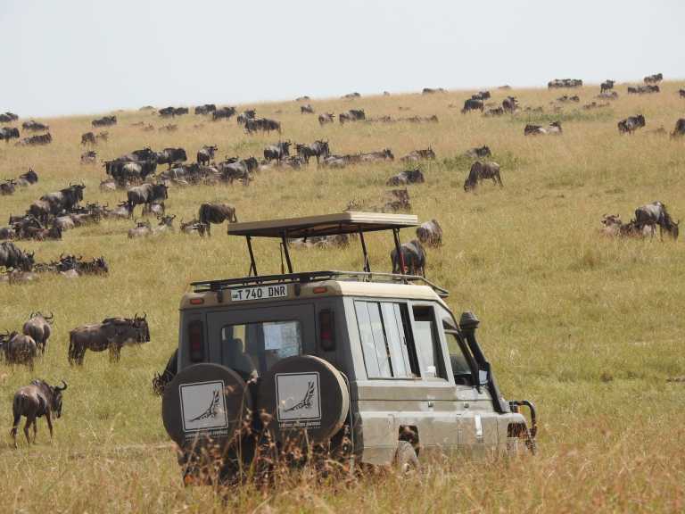 Francisco Raymond - 3