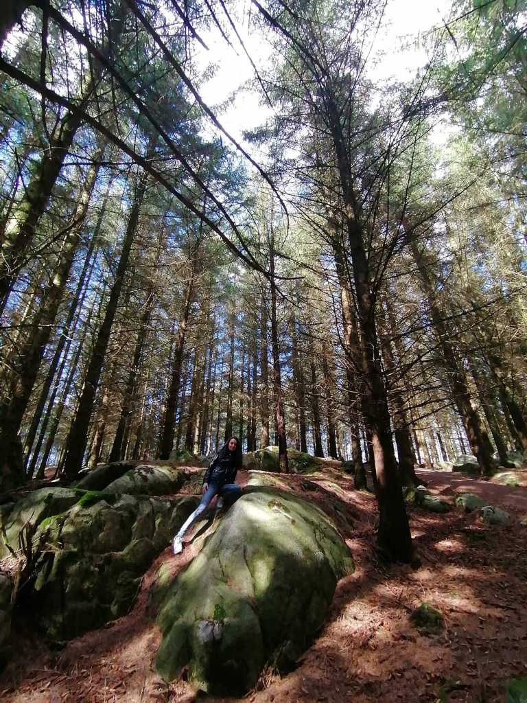 Aygun Aliyeva Sundhordvik - 0