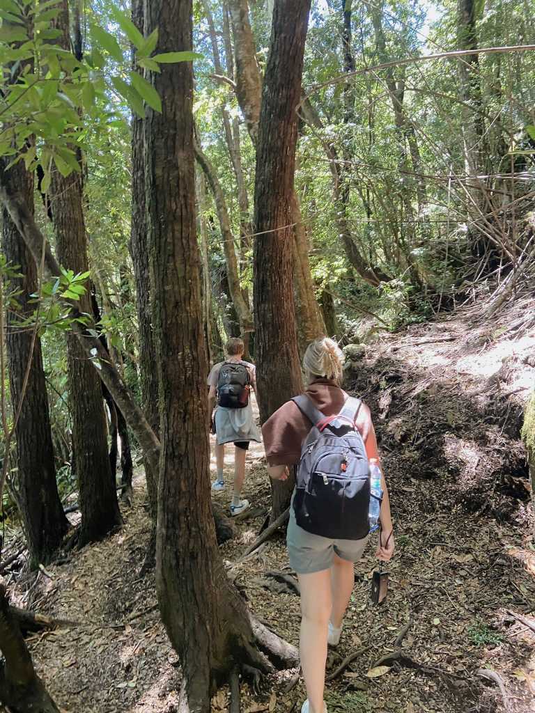 Elizabete Bukovska - 4