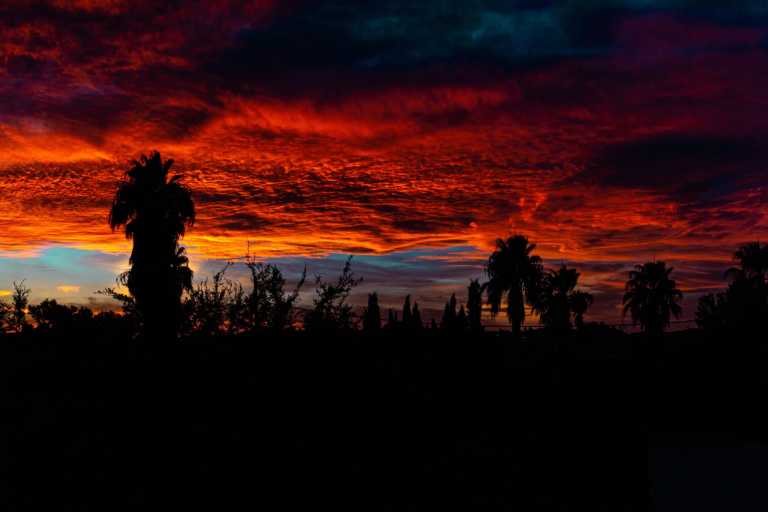 Fernandez Tania - 10