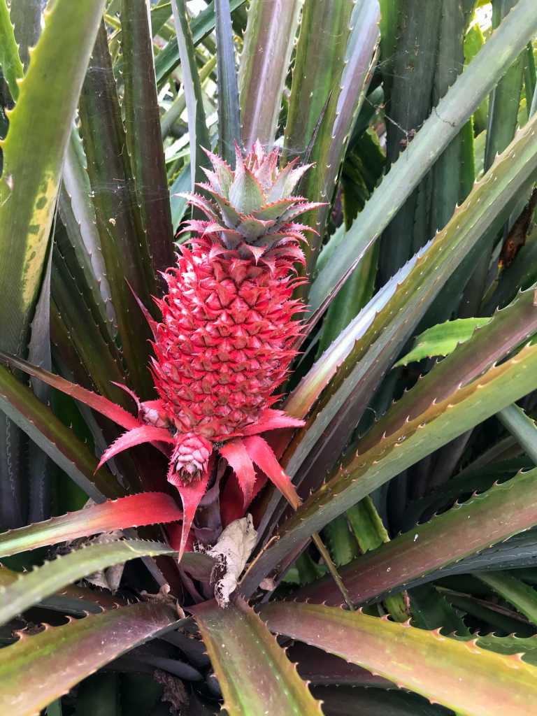 Jana Gerstenmaier - 8