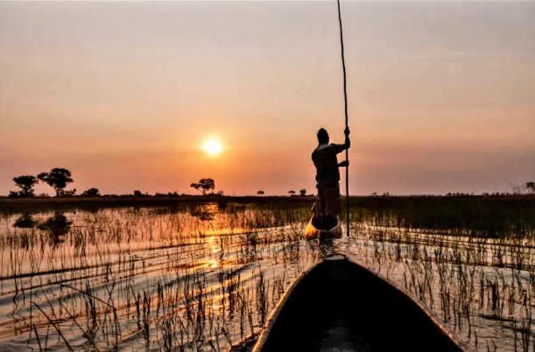 Sub-Saharan Africa - Discover Okavango Delta and Beyond: Embark on an Unforgettable Botswana Adventure in Sub-Saharan Africa - JoinMyTrip