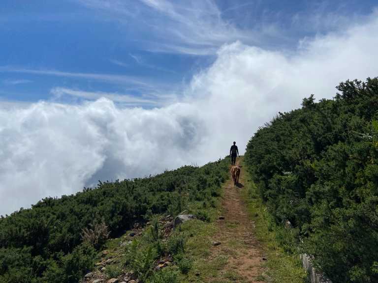 Jana Gerstenmaier - 10