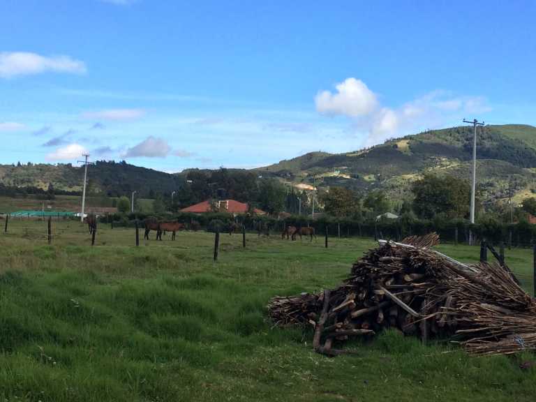 Mónica Espitia - 28