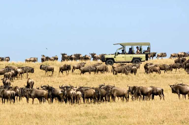 Tanzania - Tanzania: following the great migration - JoinMyTrip