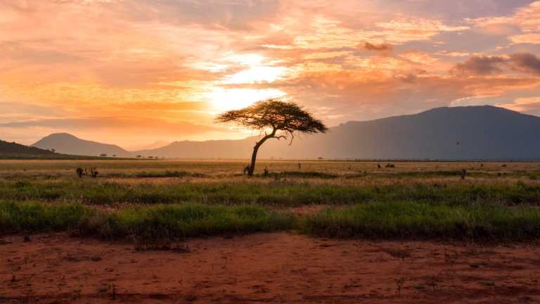 Tanzania - Tanzania Wildlife  Safari Package - Mid-Range - JoinMyTrip