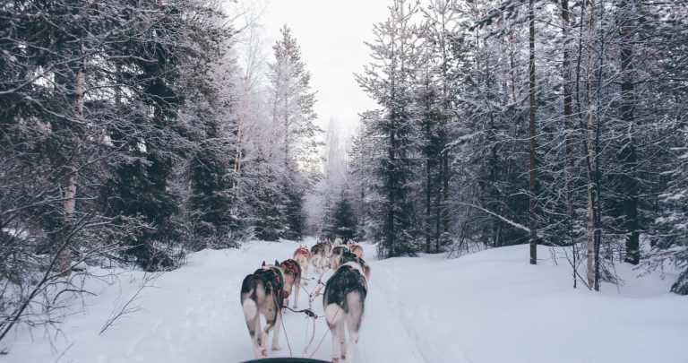Northern Europe - Rovaniemi - Lapland Arctic Adventure and Northern Lights! ❄️ Finland and Norway Social Trip ❄️ 2026 - 1