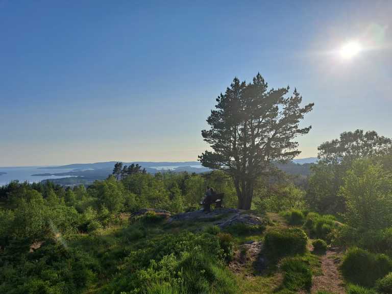 Sunil Nandwani Sujan - 0