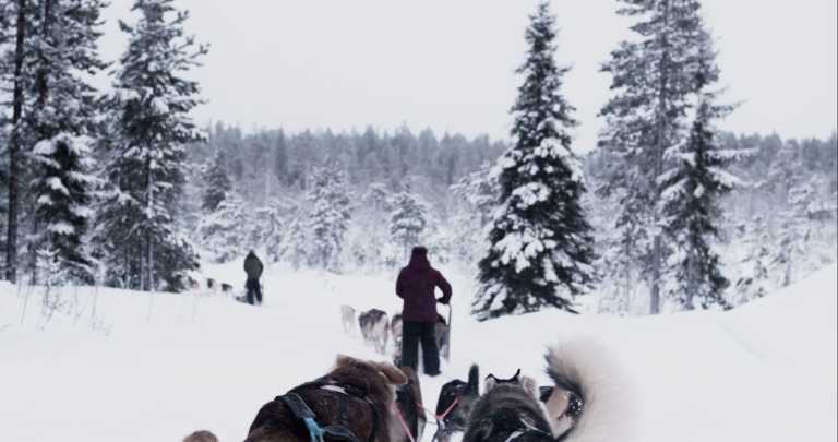 Northern Europe - Rovaniemi - Lapland Arctic Adventure and Northern Lights! ❄️ Finland and Norway Social Trip ❄️ 2026 - 2