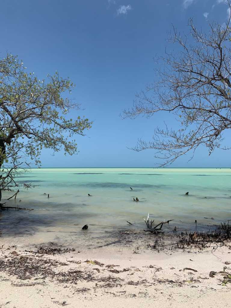 Francisco Jiménez Luna - 0