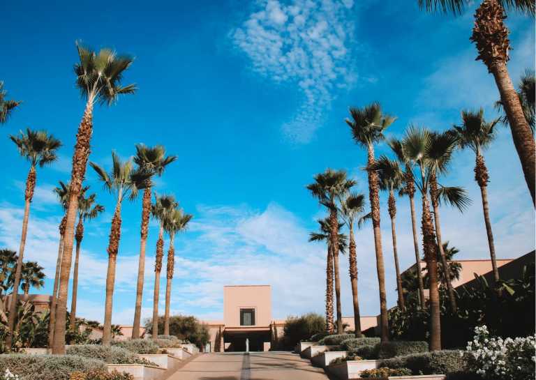 Marokko - Ultimate Remote Work & Coliving Experience in Marrakech, Morocco | Luxury Villa Coworking Space (Private Room) - JoinMyTrip