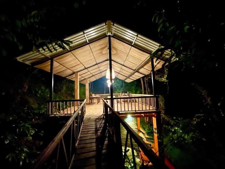 Nadine de Rosayro - 12