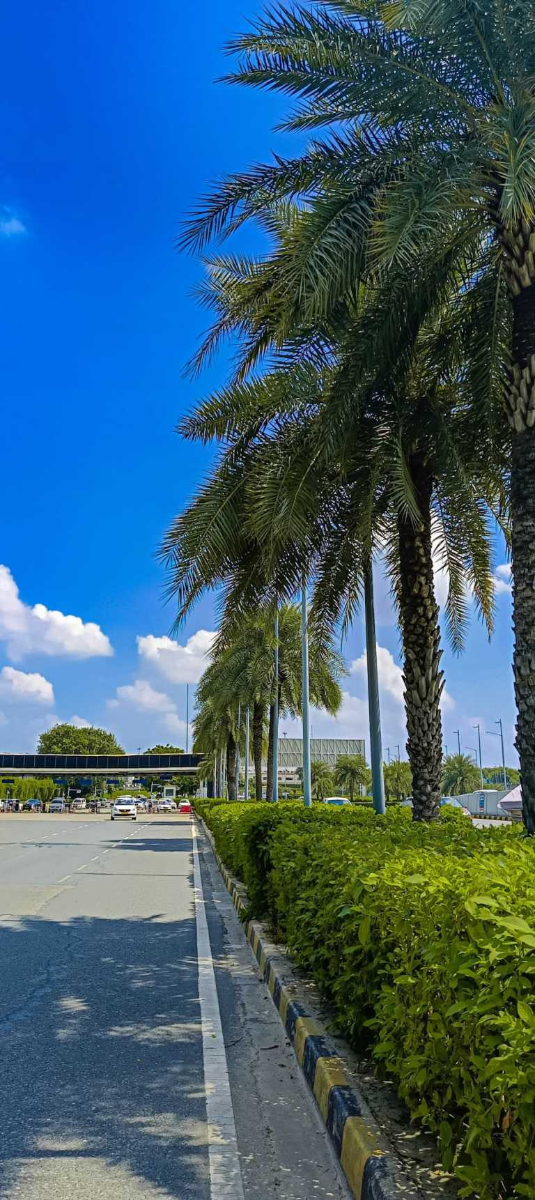 Pranshu Kushwaha - 6