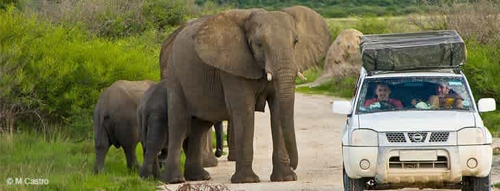 Subsahara-Afrika - Namibia, Botswana, and Zimbabwe Safari trough Africa - JoinMyTrip