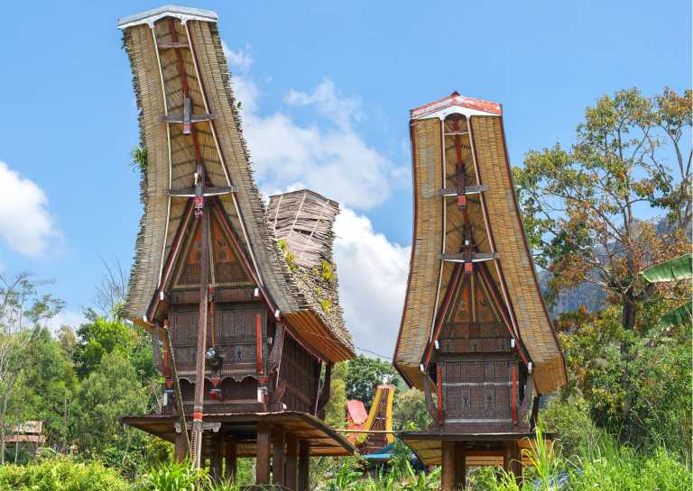 Indonesia - Tana Toraja, Indonesia: Discover the Enchanting Land of Unique Culture and Natural Beauty - JoinMyTrip