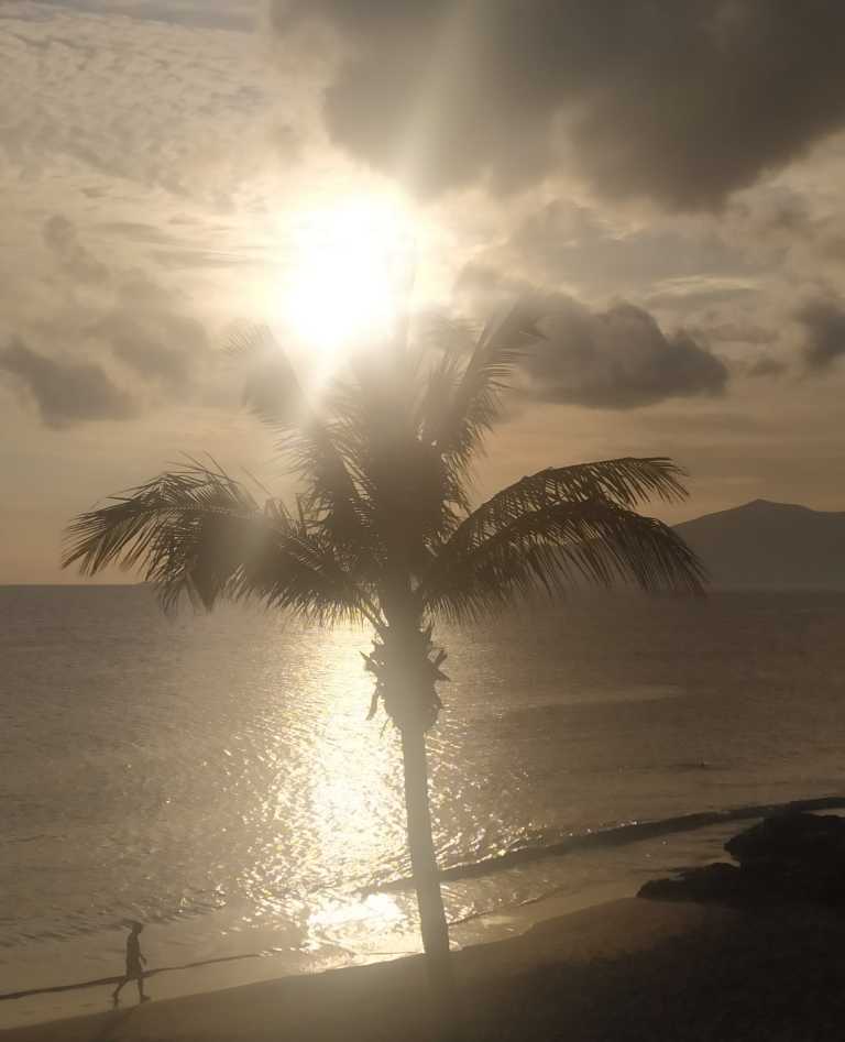 Letizia Galletti - 13