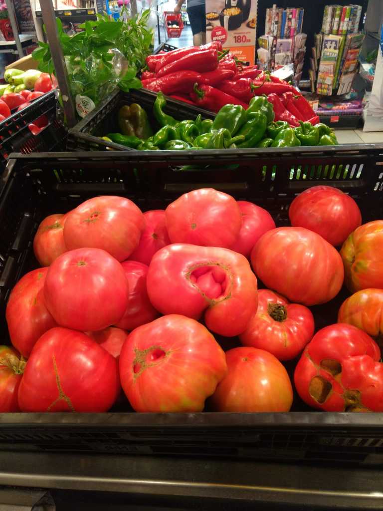 Katya Radovanova - 5