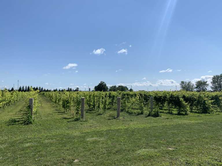 Alanna Andersen - 13