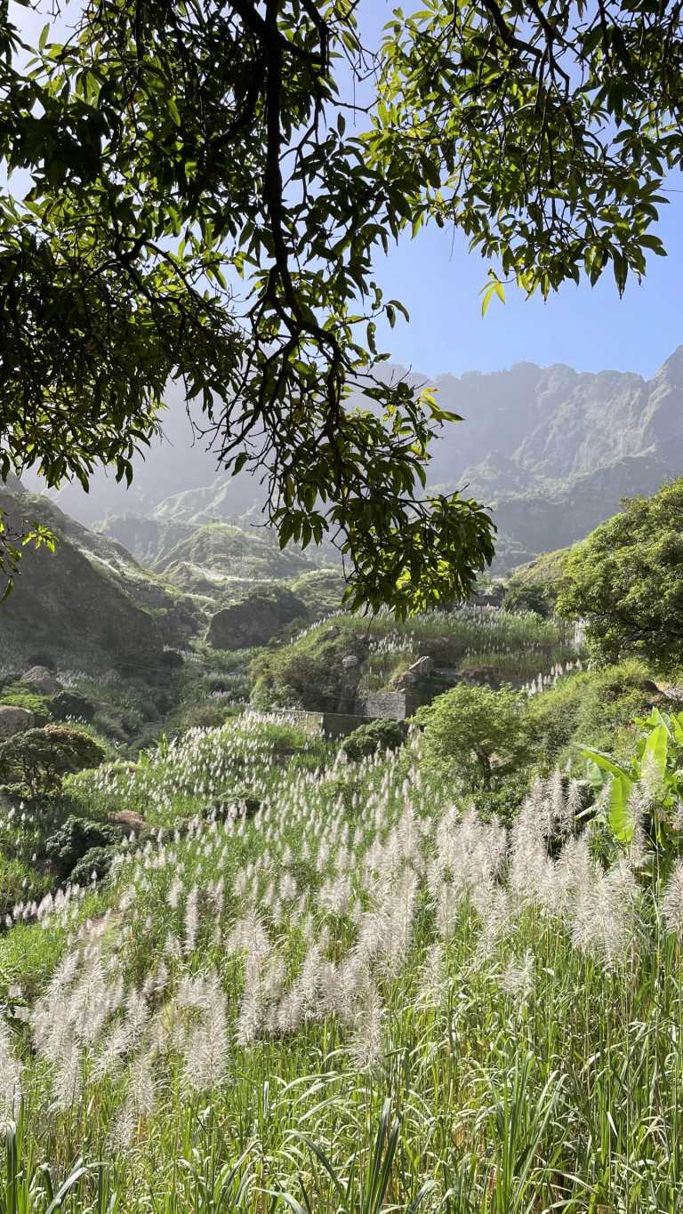 Cabo Verde - Hiking Trail in „Vale do Paúl“ - WANDERREISE: Inselüberquerung Santo Antao & Besteigung des Vulkan Fogo (Kapverden) - 2