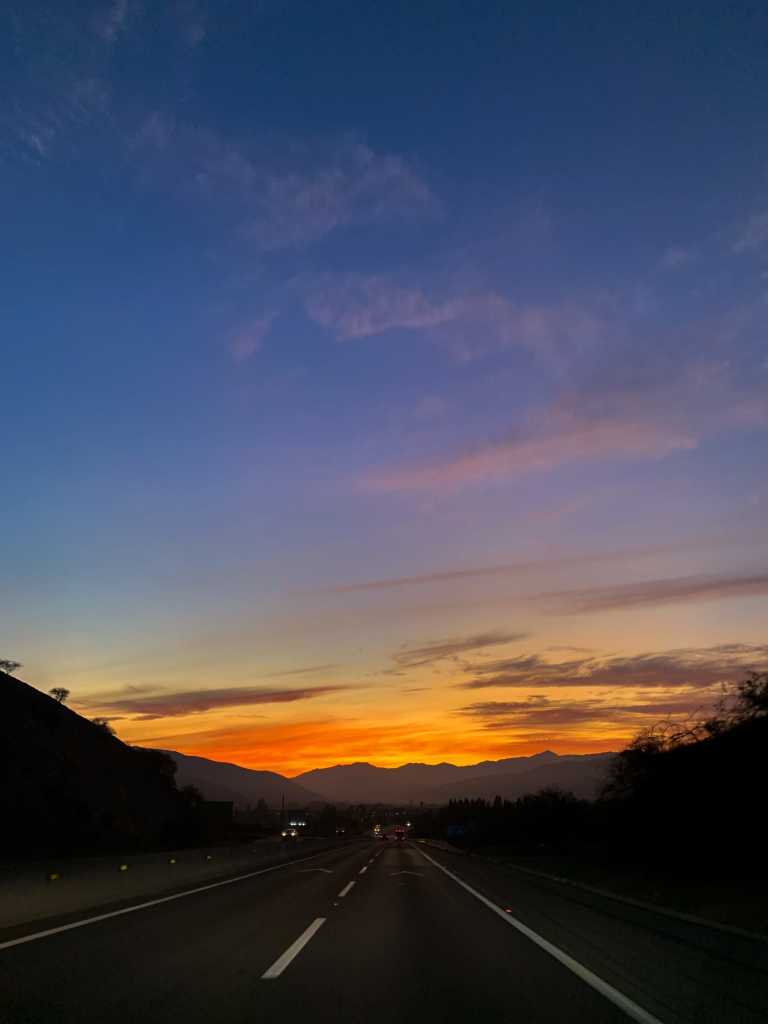 Felipe Latorre Cabello - 8