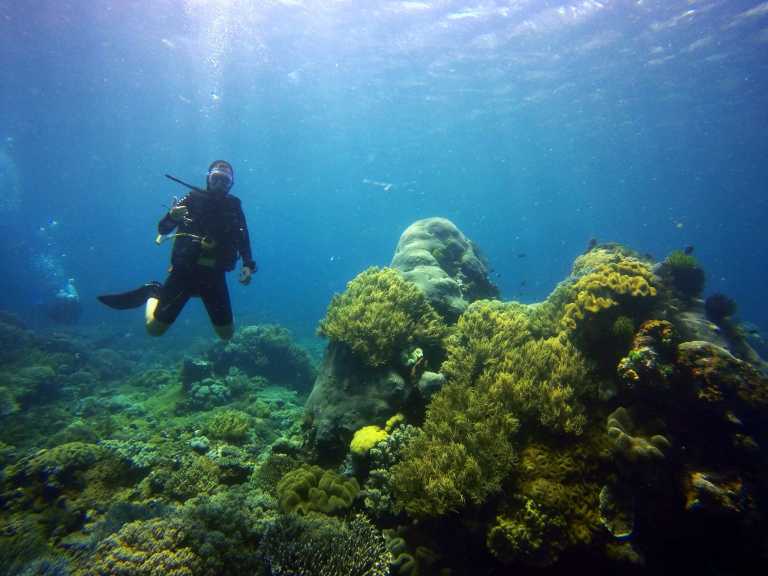 Viktoria Pilinko - 9