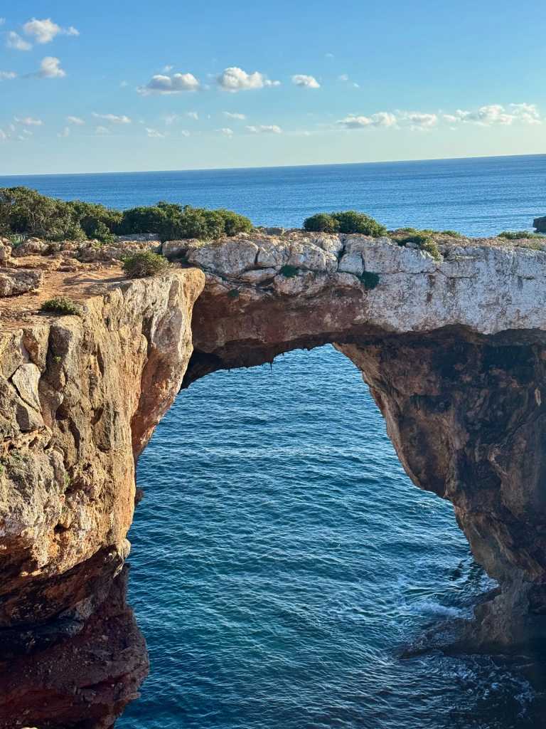 Sergio Márquez Redondo - 8