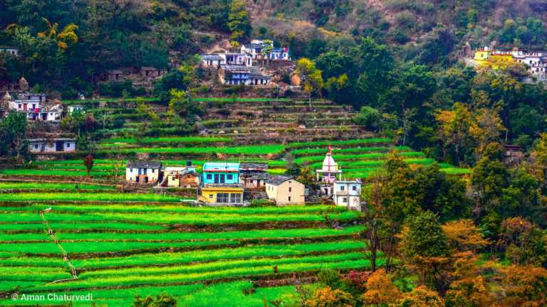 Aman Chaturvedi - 12