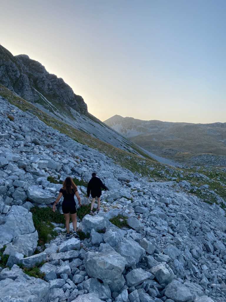 Didier Barontini - 4