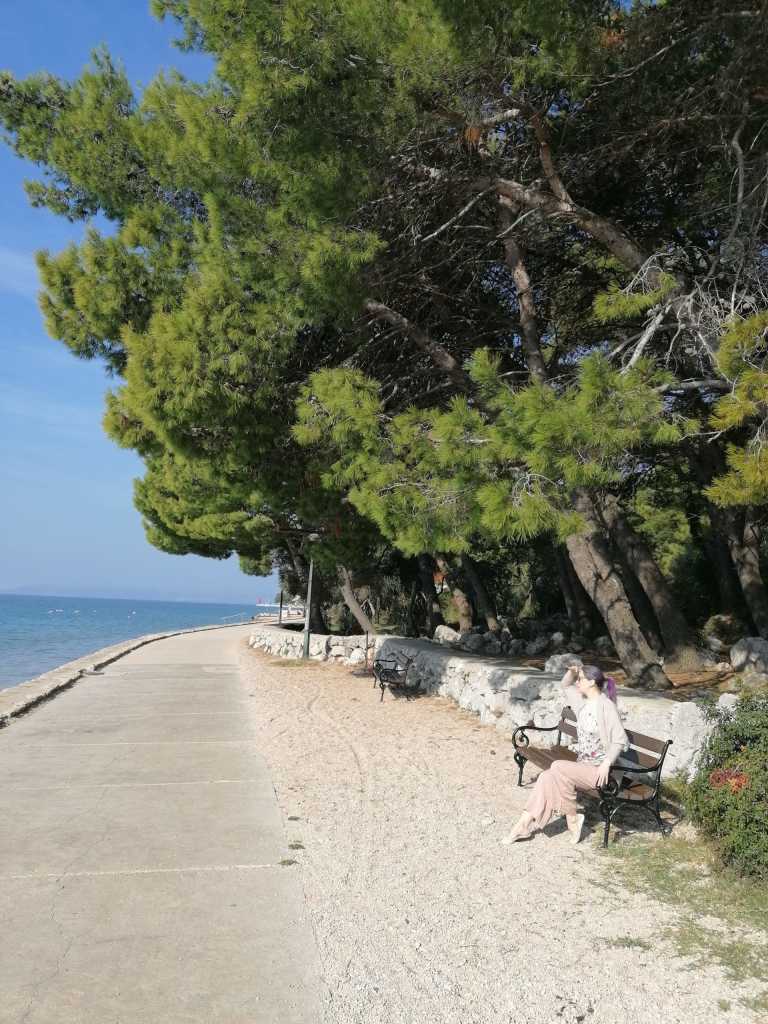 Celeste B. Petrovic - 17