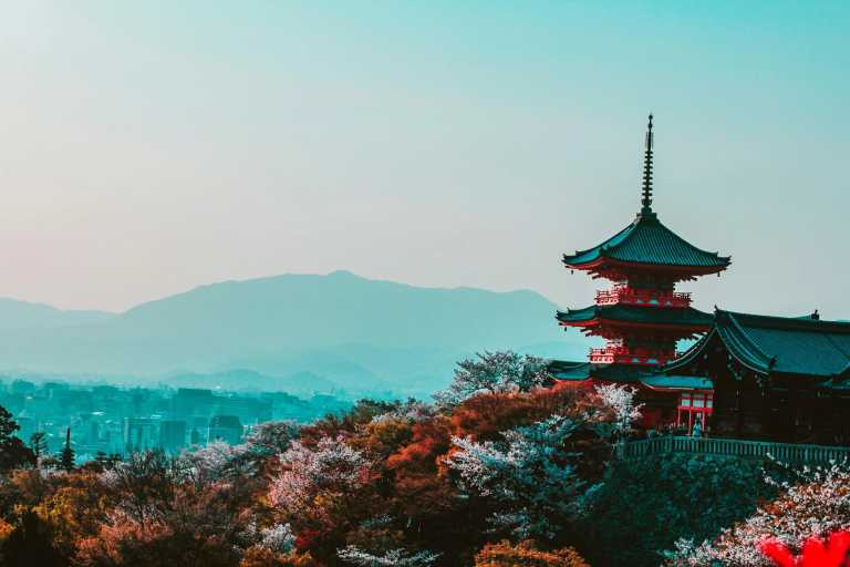 Japan - Discover Japan: A 7-Day Journey through Tokyo and Osaka - JoinMyTrip