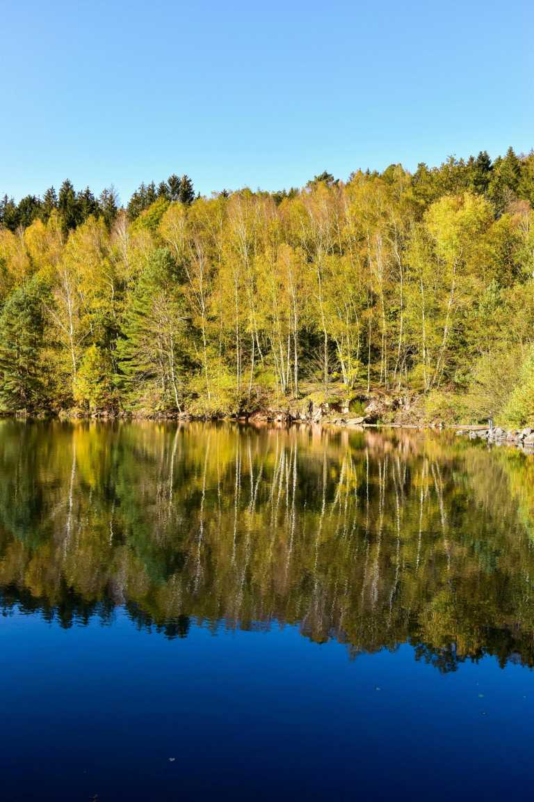 Germany - Bad Griesbach im Schwarzwald - Best of the Black Forest, Germany with my huskies 🇩🇪🐾 | Hiking | Outdoors | Historic towns - 1