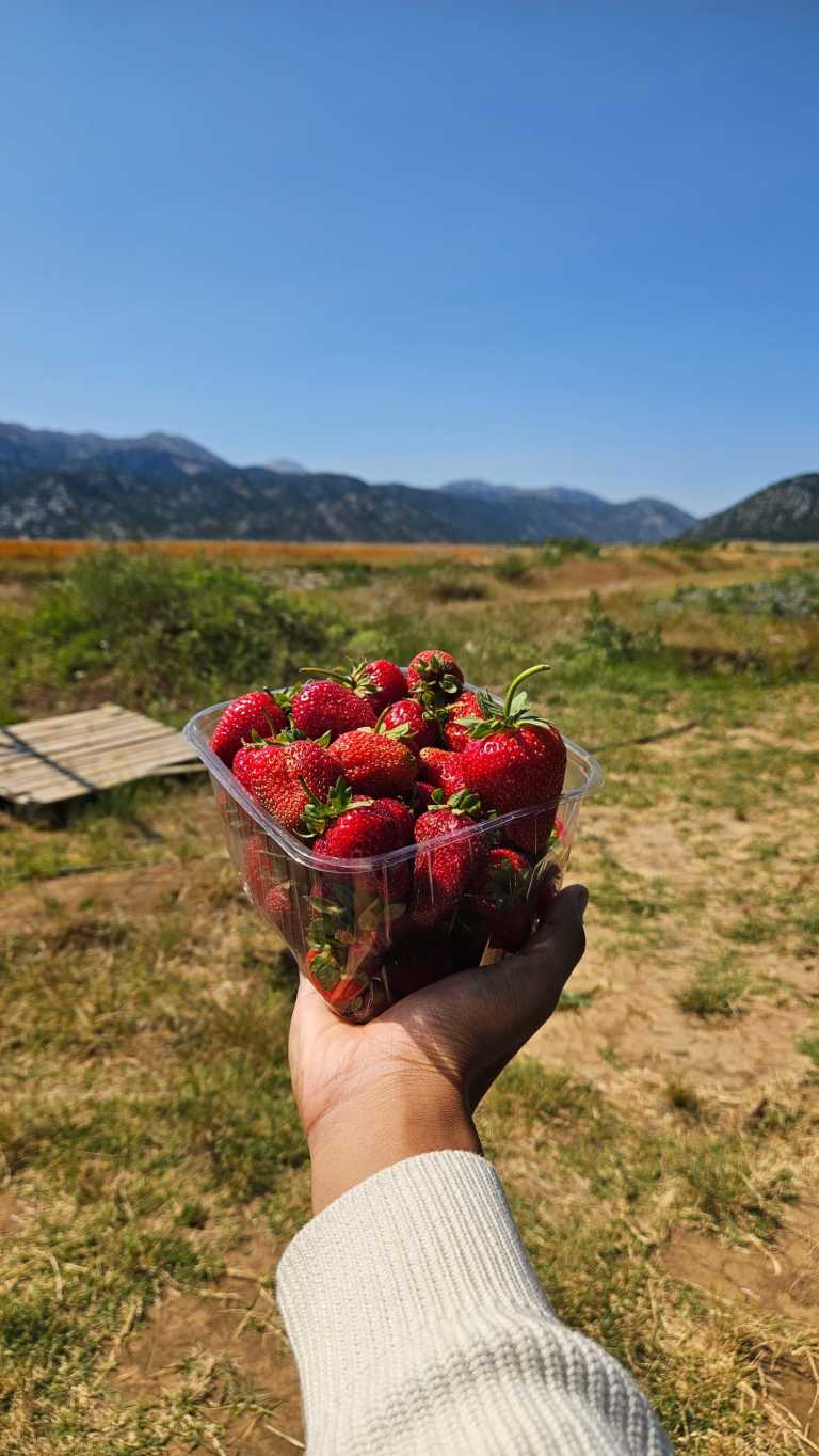 Mujtaba  Shoukath - 7