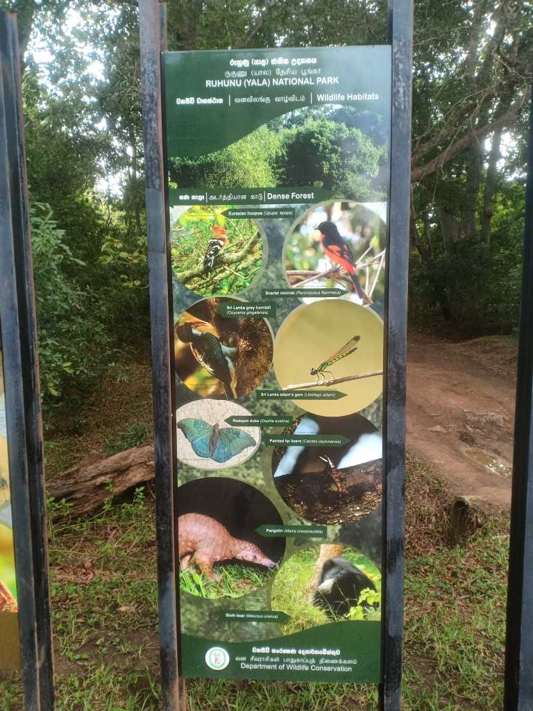 Shehan koshila kannangara - 9