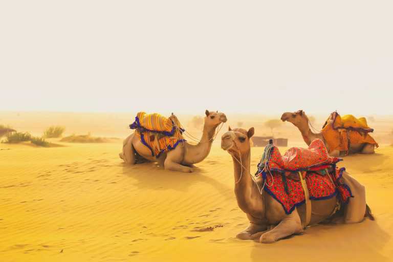 India - Jaisalmer - Photographic & Yoga Soul Journey. Sacred Rajasthan for Women - 1