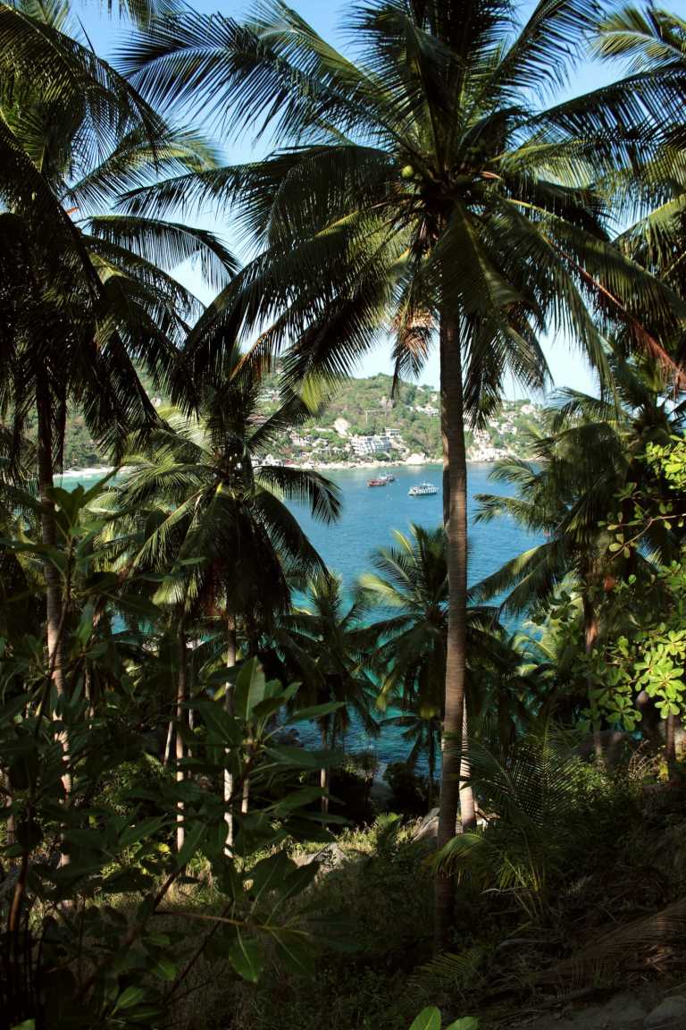 Thailand - Ko Pha Ngan - Focus, Create & Connect – A Coworking Adventure on Koh Phangan - 1