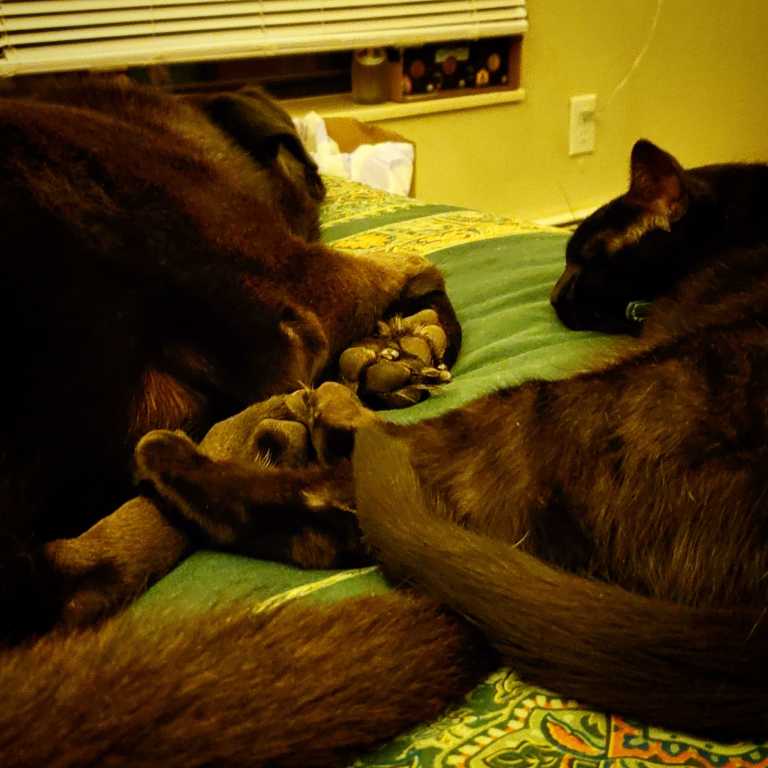 Kelsey  Richardson  - 2