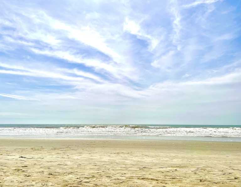 Lindsay Campbell - 14