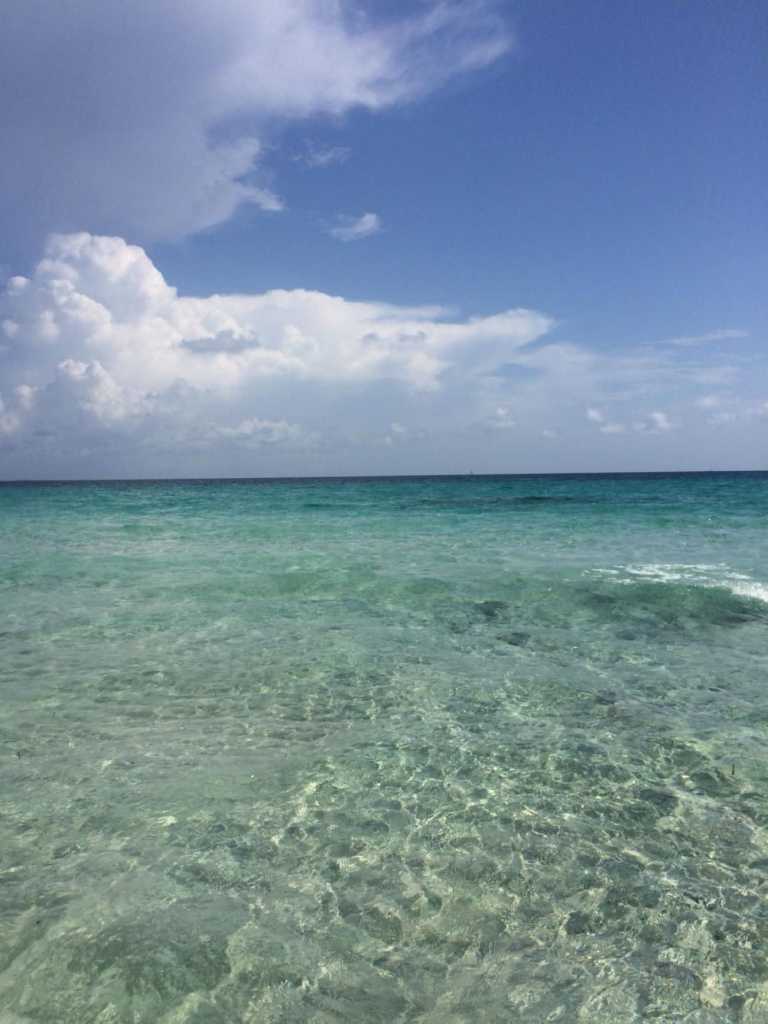 Annarita Dal Pino - 2