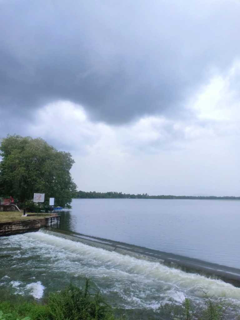 Shehan koshila kannangara - 8