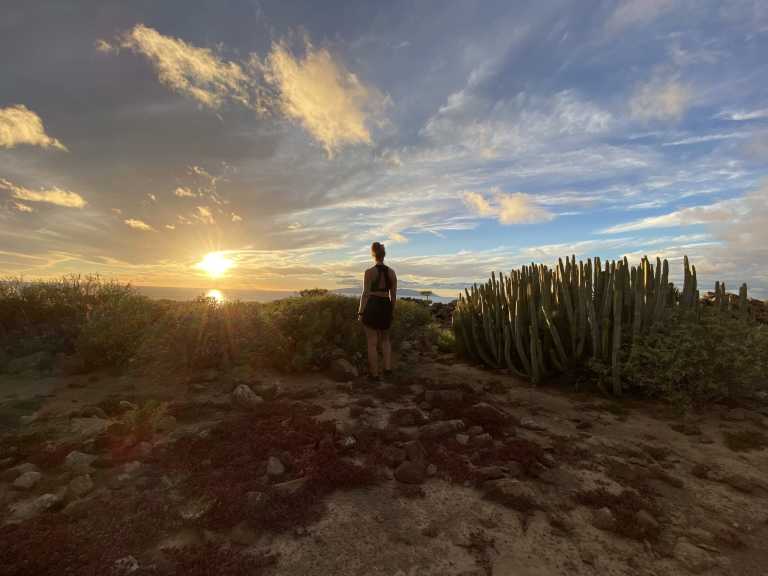 Spain - Los Cristianos - Escaping the winter ☀️ Coworking, Hiking and Dancing Bachata/Salsa/Kizomba 💃 - 1