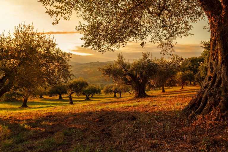 Portugal - Alvorge - 🌊 The Hidden Gems of Central Portugal 🌿