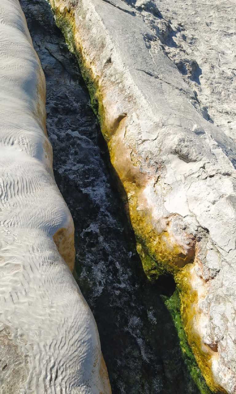 Letizia Galletti - 24